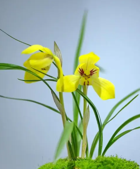 观《天道轮回，善恶有报》有感