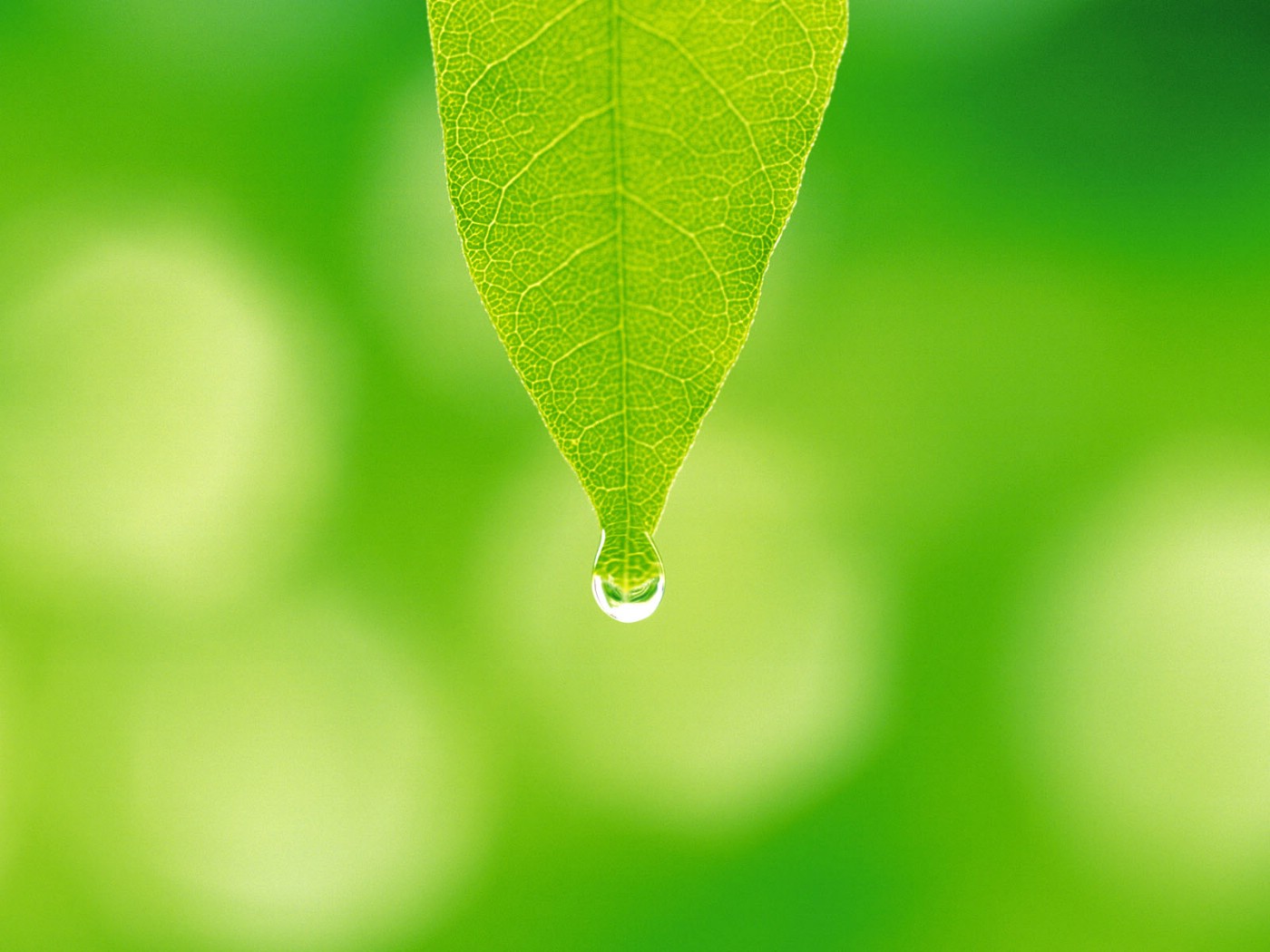 细节的重要性