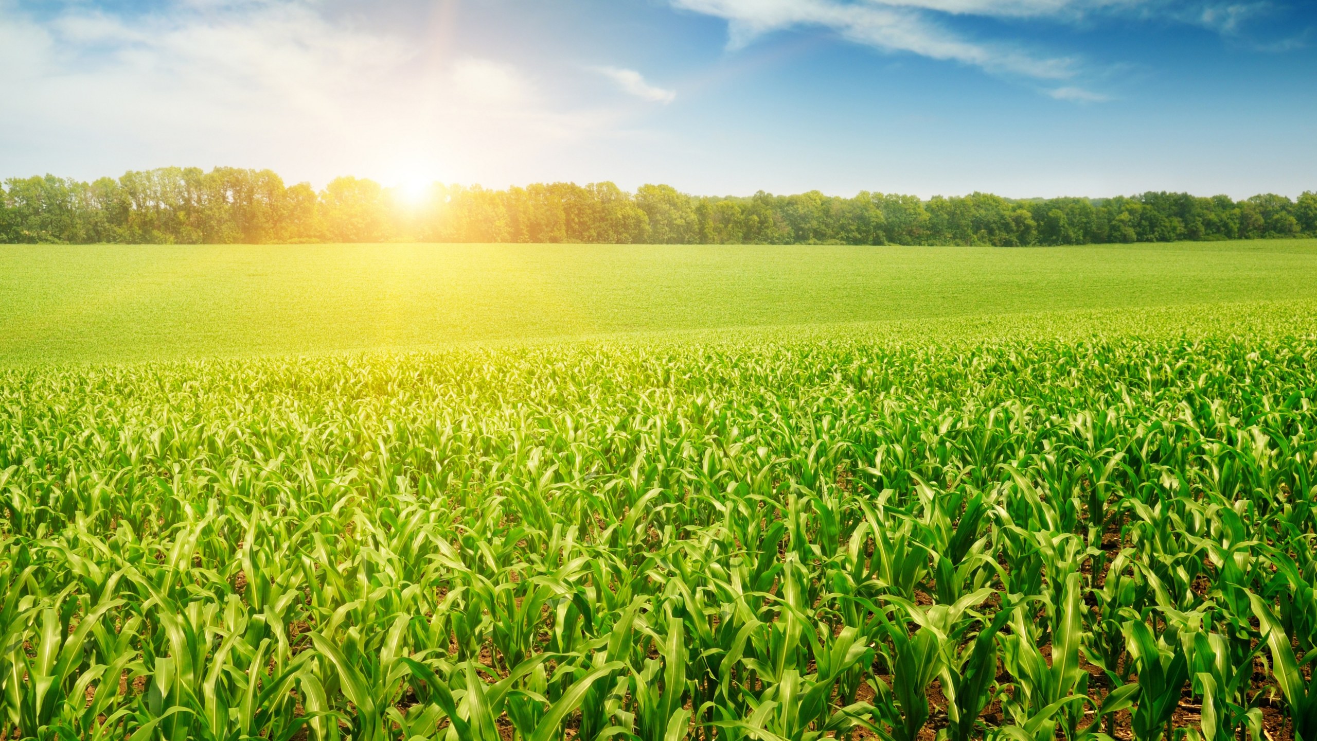 青春因奋斗而精彩